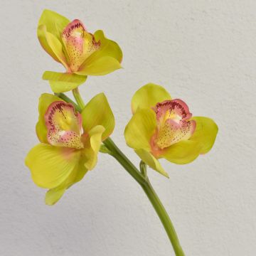 Decorative Cymbidium orchid branch SERAPHINA, green-pink, 45 cm, Ø 10–13 cm Decorative Cymbidium orchid branch SERAPHINA, green-pink, 45 cm, Ø 10–13 cm