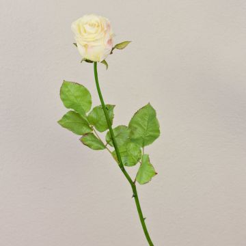 Artificial rose OPHELIE, cream-pink, 85 cm, Ø7 cm