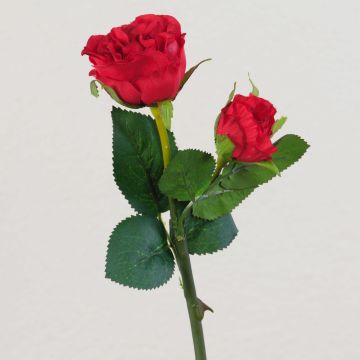 Velvet rose QUEENIE, red, 30cm, Ø3–5cm Velvet rose QUEENIE, red, 30cm, Ø3–5cm