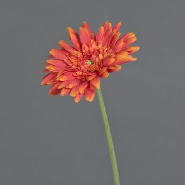 Artificial Gerbera AITANA, orange, 55cm, Ø10.5cm Artificial Gerbera AITANA, orange, 55cm, Ø10.5cm