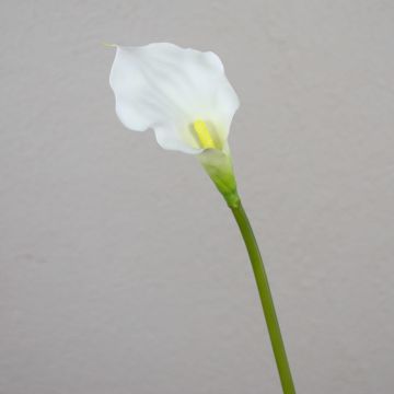Decorative calla flower PEPITA, white, 22"/55cm, 2.8x4.3"/7x11cm
