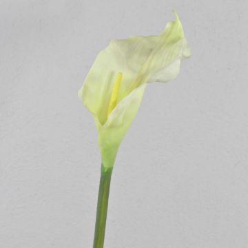 Artificial Calla CRISTINA, white-green, 3ft/105cm, 5.5"x11"/14x27cm