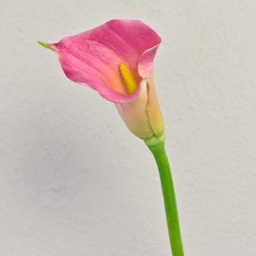 Artificial Zantedeschia ‘TALEA’, pink-yellow, 65cm, 9x11cm Artificial Zantedeschia ‘TALEA’, pink-yellow, 65cm, 9x11cm