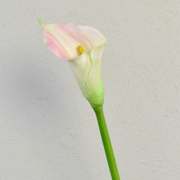Artificial Zantedeschia TALEA, white-pink, 65cm, 9x11cm Artificial Zantedeschia TALEA, white-pink, 65cm, 9x11cm