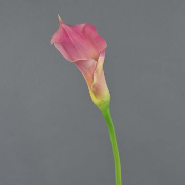 Artificial flower Calla TERESA, pink-yellow, 28"/70cm, 3.9"x7"/10x18cm