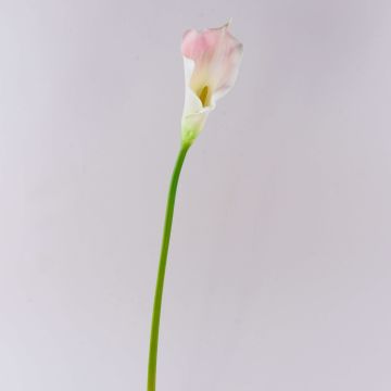 Artificial flower Calla TERESA, white-pink, 28"/70cm, 3.9"x7"/10x18cm