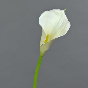 Artificial flower Calla TERESA, cream, 28"/70cm, 3.9"x7"/10x18cm