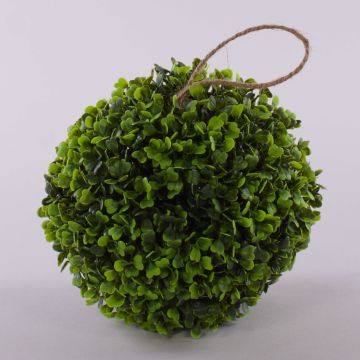 Boxwood ball HEINZ, plastic mesh, Ø8"/20cm Boxwood ball HEINZ, plastic mesh, Ø8"/20cm