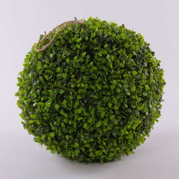 Boxwood ball HEINZ, plastic mesh, Ø14"/35cm Boxwood ball HEINZ, plastic mesh, Ø14"/35cm
