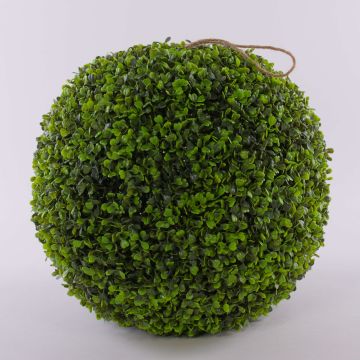 Boxwood ball HEINZ, plastic mesh, Ø16"/40cm Boxwood ball HEINZ, plastic mesh, Ø16"/40cm