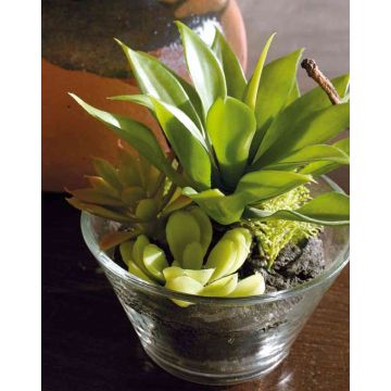 Plastic foam succulent arrangement TIMOTHY in a glass, green, 18cm