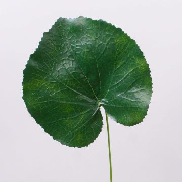 Artificial geranium leaf HEIDEGARD, green, 15"/38cm, Ø5.5"/14cm Artificial geranium leaf HEIDEGARD, green, 15"/38cm, Ø5.5"/14cm