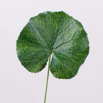 Artificial geranium leaf HEIDEGARD, green, 15"/38cm, Ø4.3"/11cm Artificial geranium leaf HEIDEGARD, green, 15"/38cm, Ø4.3"/11cm