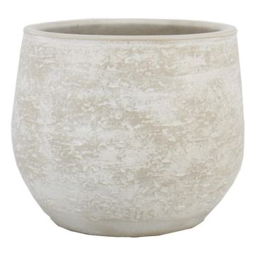 ASIALY cement plant pot with grain effect, light grey, 31cm, Ø36cm ASIALY cement plant pot with grain effect, light grey, 31cm, Ø36cm
