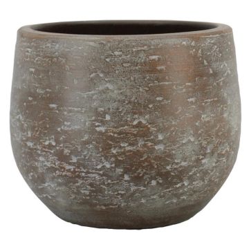 Cement plant pot ASIALY with grain effect, brown, 12"/31cm, Ø14"/36cm Cement plant pot ASIALY with grain effect, brown, 12"/31cm, Ø14"/36cm