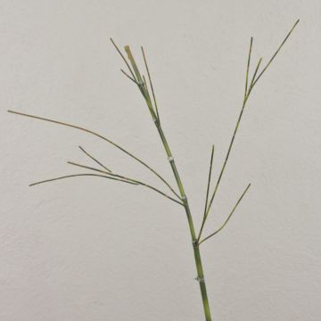 Artificial bamboo branch HARUTO, 95 cm Artificial bamboo branch HARUTO, 95 cm