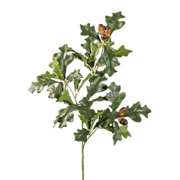 False oak branch FROLKE with fruits, green-brown, 28"/70cm