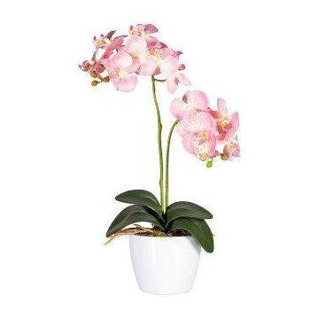Artificial Phalaenopsis orchid FRUXO, spike, roots, pink, 20"/50cm