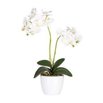 Artificial Phalaenopsis orchid FRUXO, spike, roots, white, 20"/50cm
