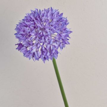 Decorative flower, ornamental leek LISBETH, purple, 80cm, Ø15cm Decorative flower, ornamental leek LISBETH, purple, 80cm, Ø15cm
