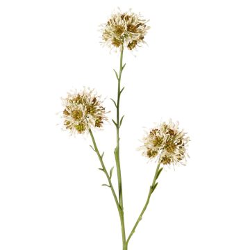 Decorative allium branch ZEBU, cream, 65cm, Ø7cm