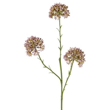 Artificial Allium ALIKIO, purple, 65cm, Ø7cm Artificial Allium ALIKIO, purple, 65cm, Ø7cm