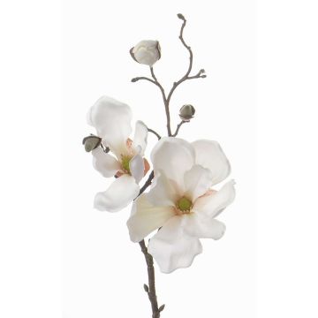 Artificial flower magnolia MALBINE, cream, 20"/50cm, Ø 2.4"-4"/6-10cm Artificial flower magnolia MALBINE, cream, 20"/50cm, Ø 2.4"-4"/6-10cm
