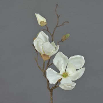 Artificial flower magnolia MALBINE, cream, 20"/50cm, Ø 2.4"-4"/6-10cm