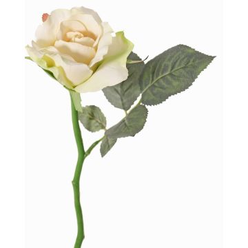 Artificial rose ELLI, cream-pink, 12"/30cm, Ø2.6"/6.5cm Artificial rose ELLI, cream-pink, 12"/30cm, Ø2.6"/6.5cm