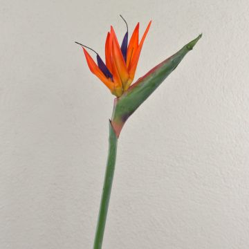Artificial strelitzia MELIORN, orange-purple, 80 cm, 14 x 19 cm