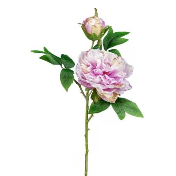 Decorative flower Peony FRILT, fuchsia, 22"/55cm