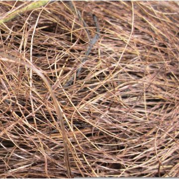 GIUSEPPA natural sisal fibre, brown, 20g