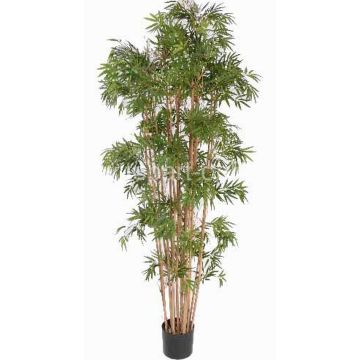 Artificial bamboo plant NARO, real stems, 5ft/150cm Artificial bamboo plant NARO, real stems, 5ft/150cm