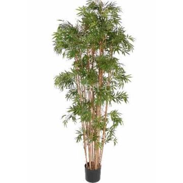 Artificial bamboo plant NARO, real stems, 150cm