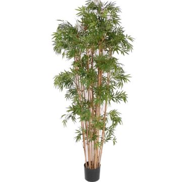 Artificial bamboo plant NARO, real stems, 210cm