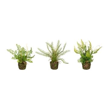 Artificial Fern Mix FUNGAR, lady’s hair fern, sword fern, shield fern, 3 pieces, soil ball, green, 22cm, Ø25cm