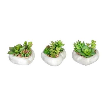 Artificial succulent arrangement SORIPI, 3 pieces, cement bowl in the shape of a heart, green-pink, 2.8"/7cm Artificial succulent arrangement SORIPI, 3 pieces, cement bowl in the shape of a heart, green-pink, 2.8"/7cm