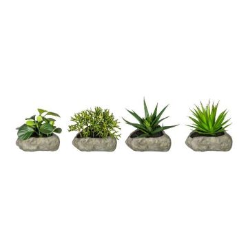 Decorative succulent arrangement TASTIKE in polyresin pot, 4 pieces, green, 4.7"-6"/12-15cm