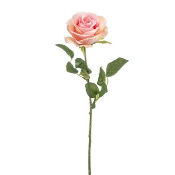 BRUNETTE artificial rose, pink-cream, 70cm, Ø11cm BRUNETTE artificial rose, pink-cream, 70cm, Ø11cm