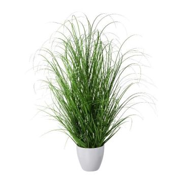 Decorative grass Pennisetum KIVRA, in decorative pot, green, 30"/75cm