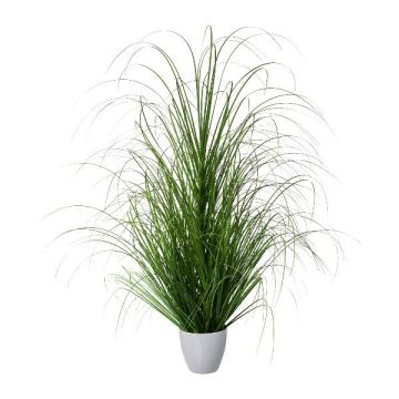 Decorative grass Pennisetum KIVRA, in decorative pot, green, 35"/90cm Decorative grass Pennisetum KIVRA, in decorative pot, green, 35"/90cm