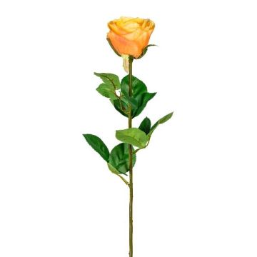 Artificial flower rose NORLAN, apricot, 28"/70cm, Ø3.1"/8cm Artificial flower rose NORLAN, apricot, 28"/70cm, Ø3.1"/8cm