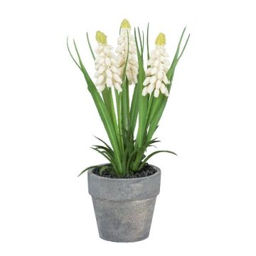 Decorative flower Grape hyacinth ZORKLEM in decorative pot, white, 7"/18cm