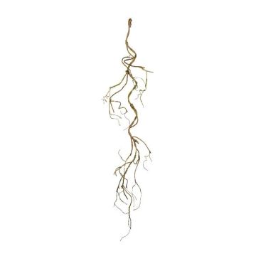 Decorative branch of corkscrew willow GLORVI, brown, 4ft/115cm Decorative branch of corkscrew willow GLORVI, brown, 4ft/115cm