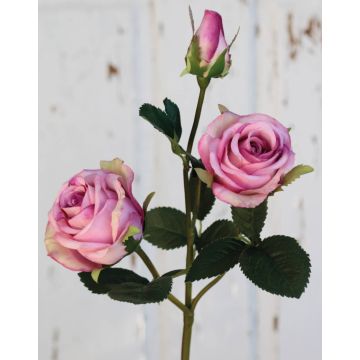 Velvet rose DELILAH, pink, 55cm, Ø6cm