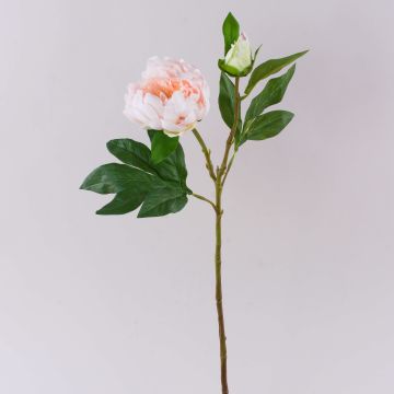 Artificial peony FYRFAR, open, light pink, 60cm Artificial peony FYRFAR, open, light pink, 60cm