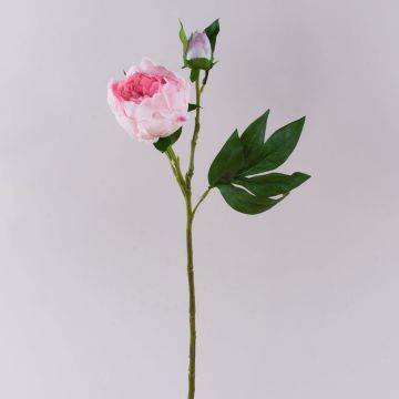Artificial peony FYRFAR, half-open, pink, 60cm Artificial peony FYRFAR, half-open, pink, 60cm