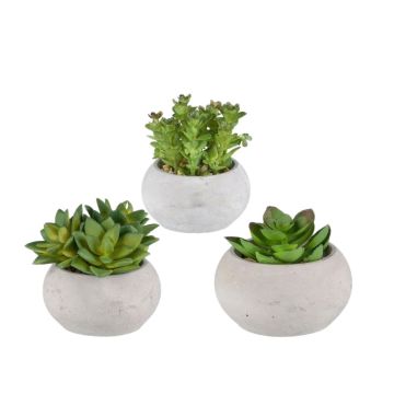 Decorative succulent arrangement ZIFER in cement pot, 3 pieces, green, 3.1"-4"/8-10cm