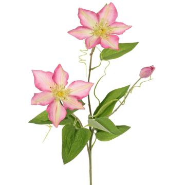 Artificial clematis DORAN, pink and green, 75 cm, Ø 11–13 cm Artificial clematis DORAN, pink and green, 75 cm, Ø 11–13 cm