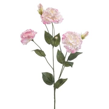 Artificial lisianthus RENARA, pink-cream, 75cm